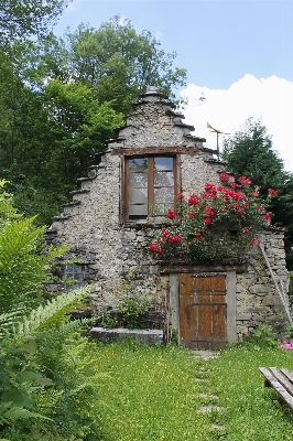 Architecture house flower building Photo