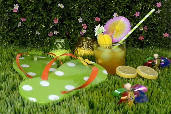 Grass lawn meadow play Photo