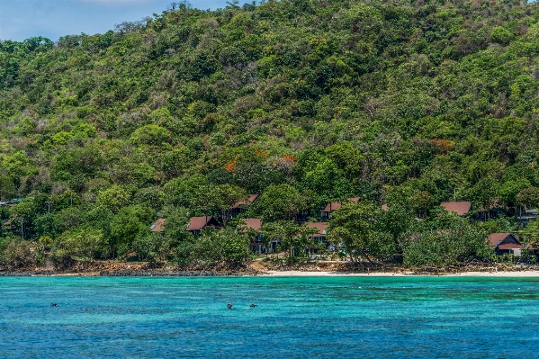 Foto Spiaggia paesaggio mare costa