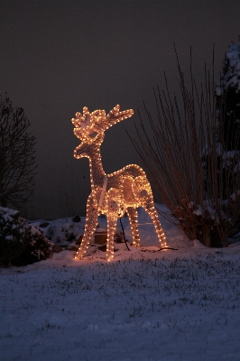 Snow winter night decoration Photo