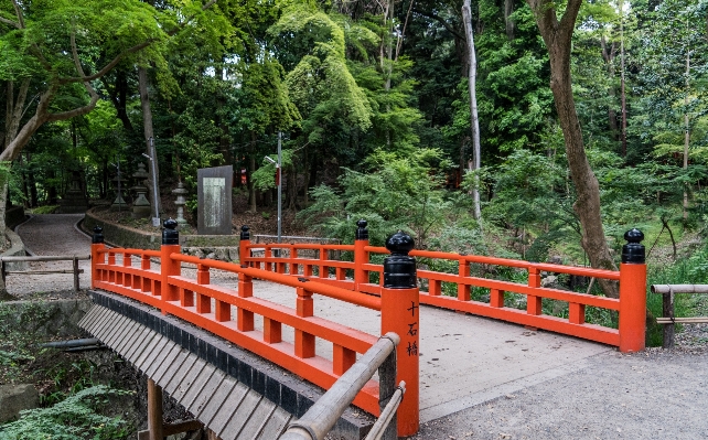 森 建築 橋 通路 写真