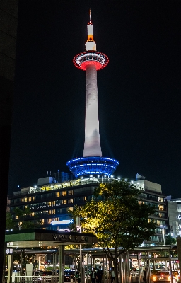 建築 空 スカイライン 夜 写真