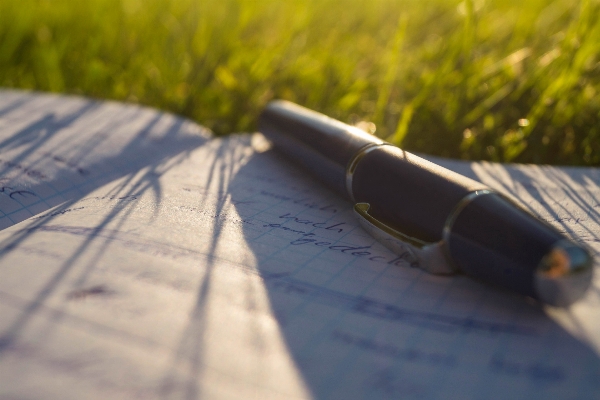 Writing hand grass pencil Photo