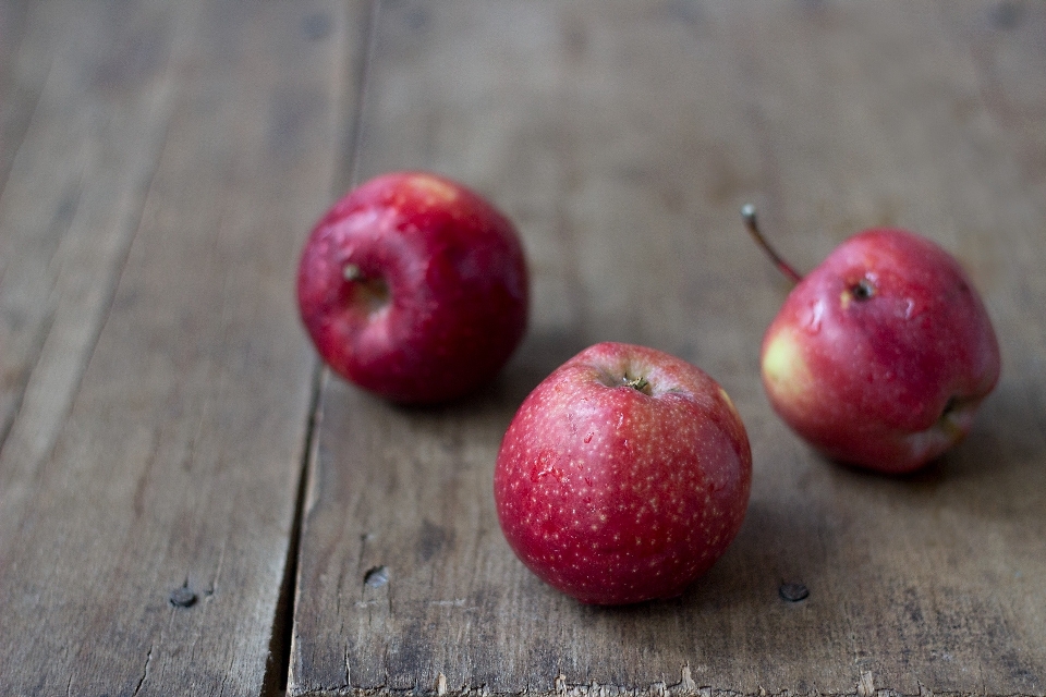 Apple plantar fruta verão