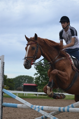 Sport jump recreation jumping Photo