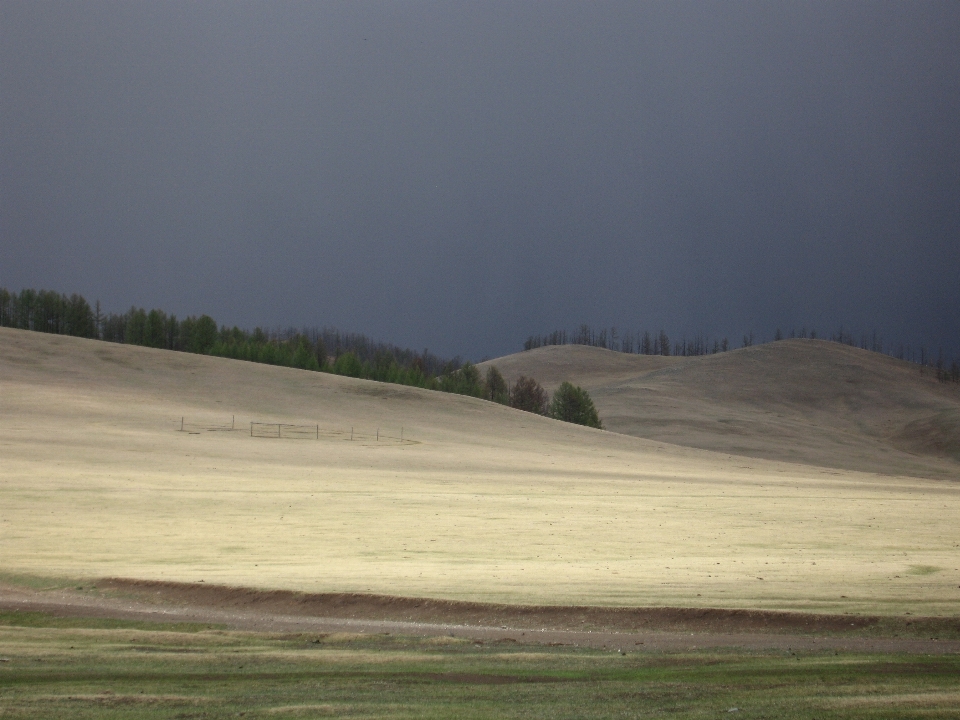 Paysage herbe sable horizon