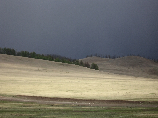 Landscape grass sand horizon Photo