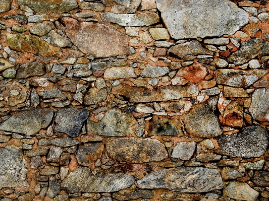 Rock wood texture trunk Photo