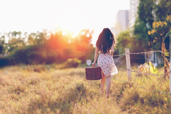 Foto Rumput gadis wanita matahari terbenam