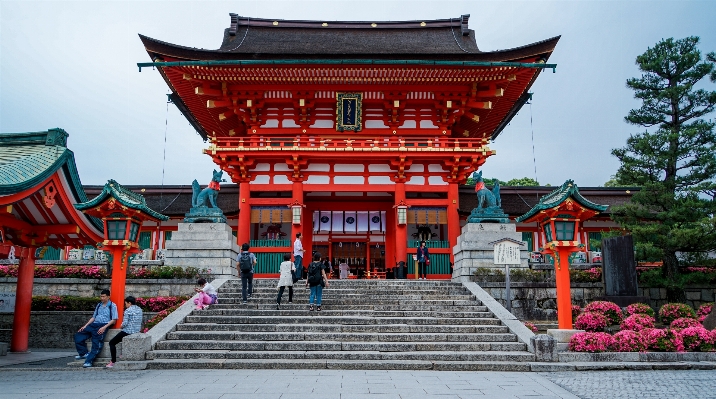 建築 建物 城 旅行 写真