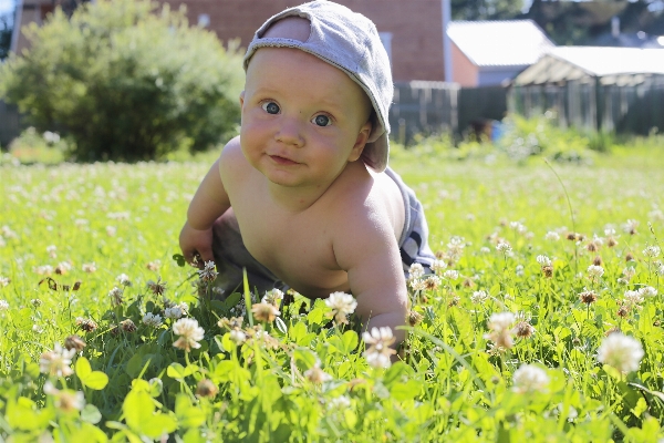 Grass person plant sun Photo