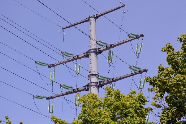 Post wire line tower Photo