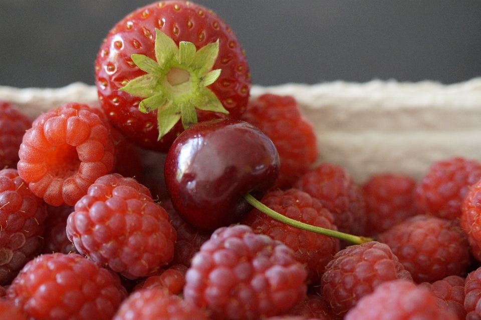 Plantar framboesa fruta baga