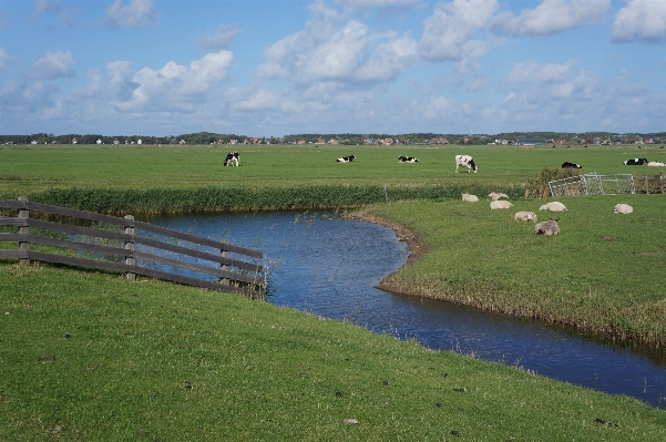 Landscape sea coast grass Photo