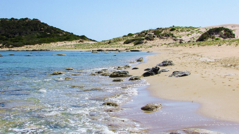 Beach sea coast nature