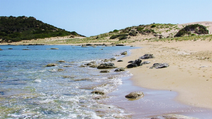 Beach sea coast nature Photo