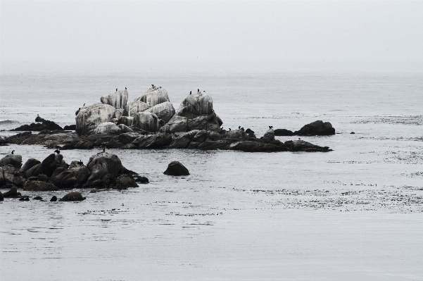 Beach sea coast water Photo