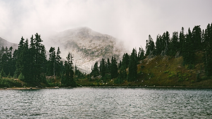 Landscape tree water nature Photo