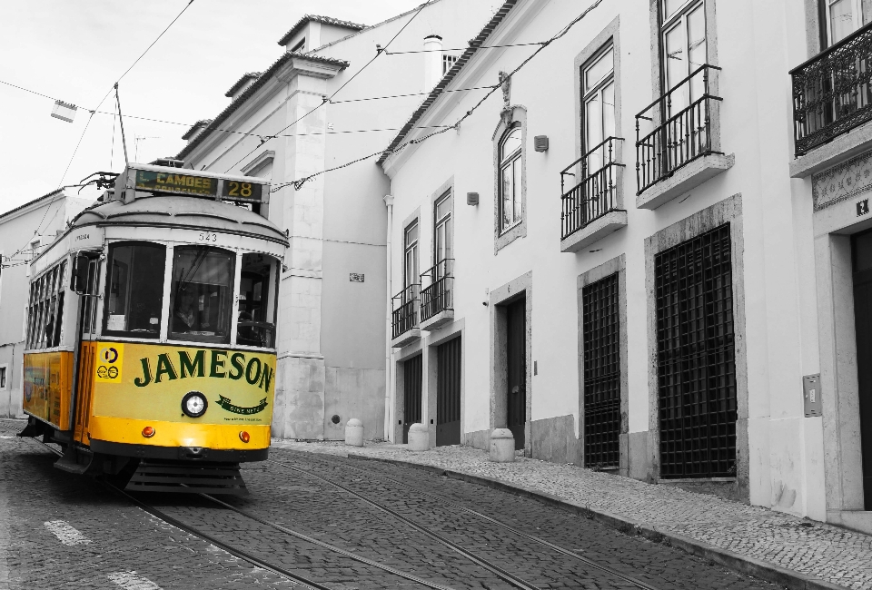 Czarny i biały
 ulica tramwajowy transport