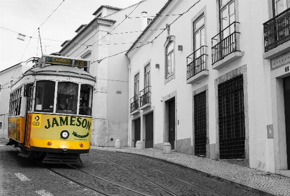 Black and white street tram transport Photo