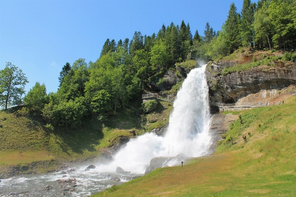 Zdjęcie Woda natura trawa wodospad