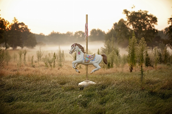 Landscape girl morning carnival Photo