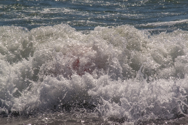 Beach sea coast water Photo