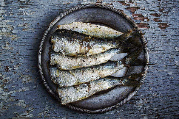 Sea meal food mediterranean Photo