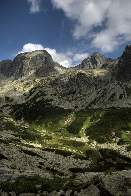 Paesaggio natura rock selvaggia
