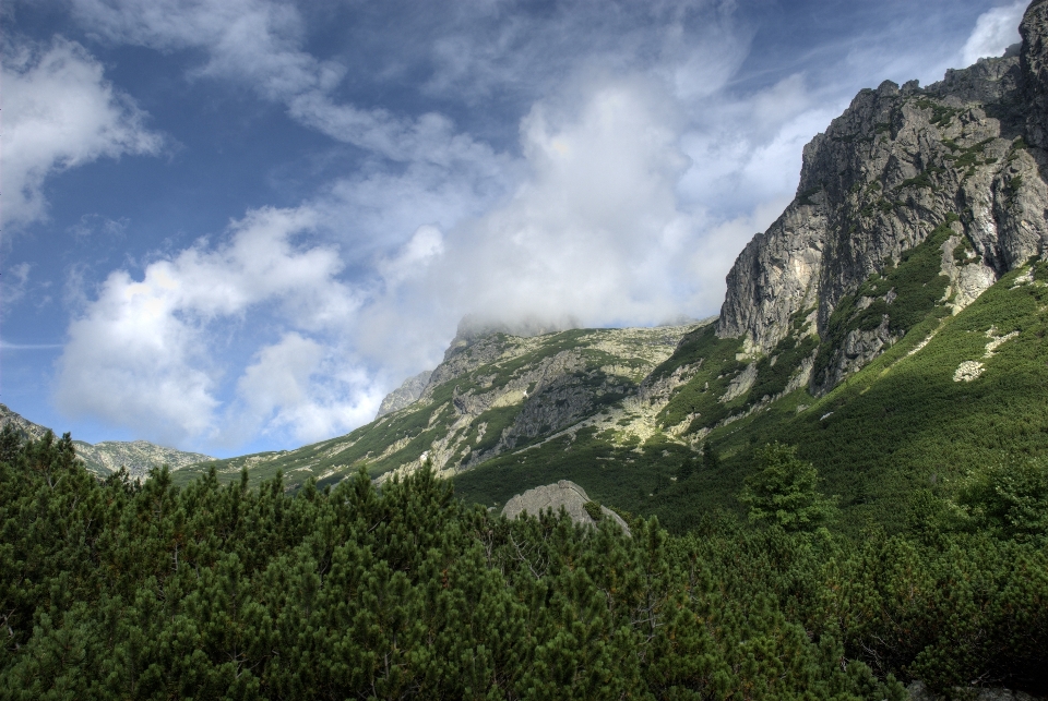 Paesaggio natura selvaggia
 montagna