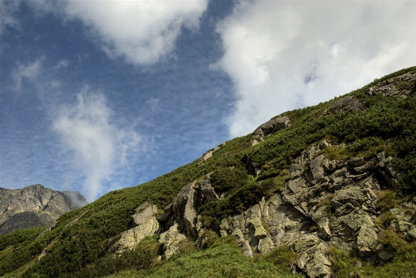 Landscape sea coast nature Photo