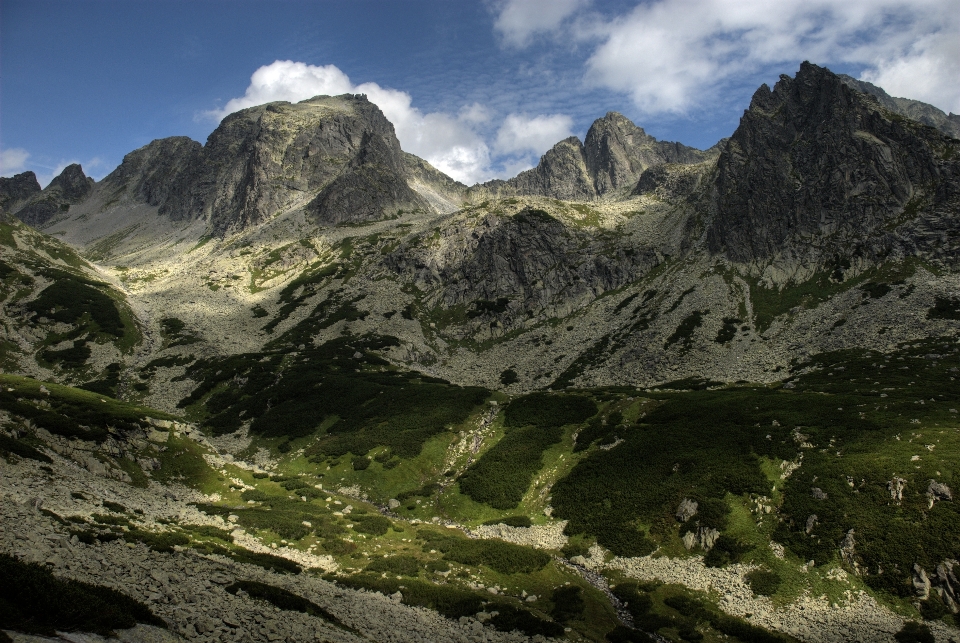 Paesaggio natura selvaggia
 a piedi