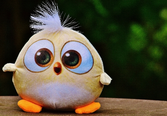 Bird sweet cute toy Photo