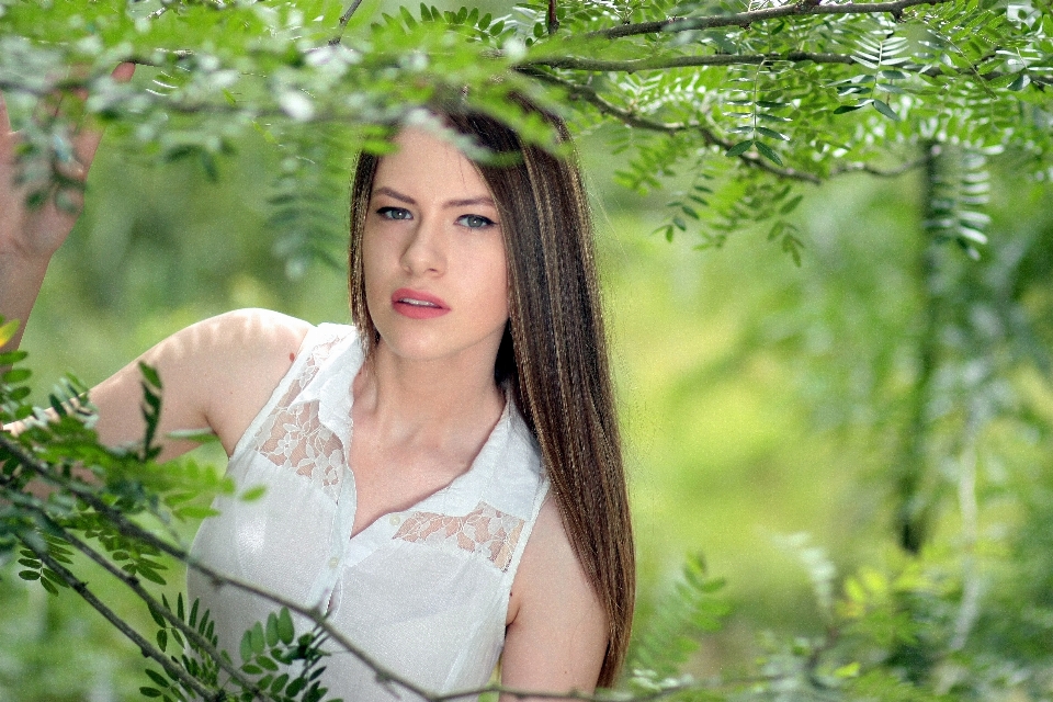 Forêt herbe personne fille