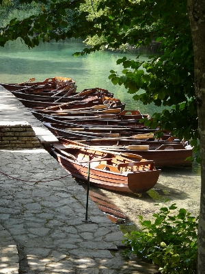 Landscape water nature wood Photo