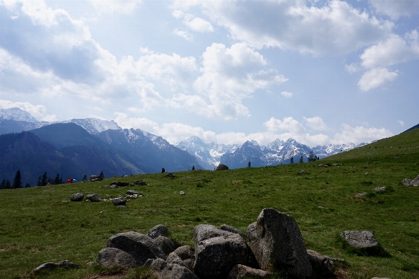 Landscape nature grass wilderness Photo