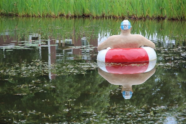 男 水 鳥 池 写真