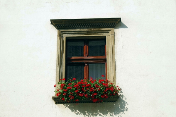 Architecture house window glass Photo