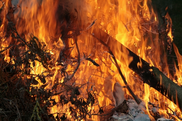 Wood adventure formation flame Photo