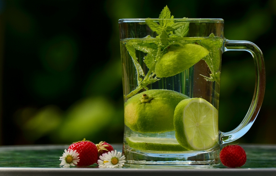 Water plant fruit flower