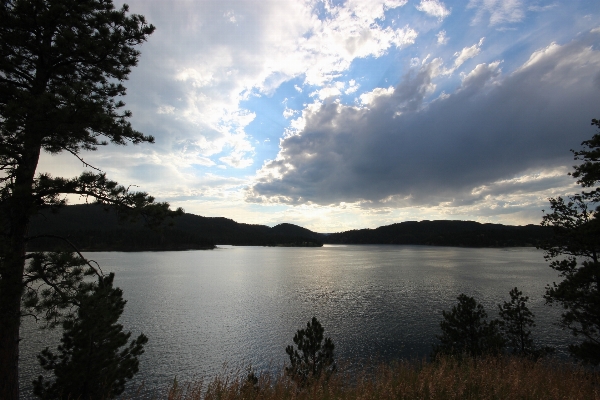 Landscape tree water nature Photo