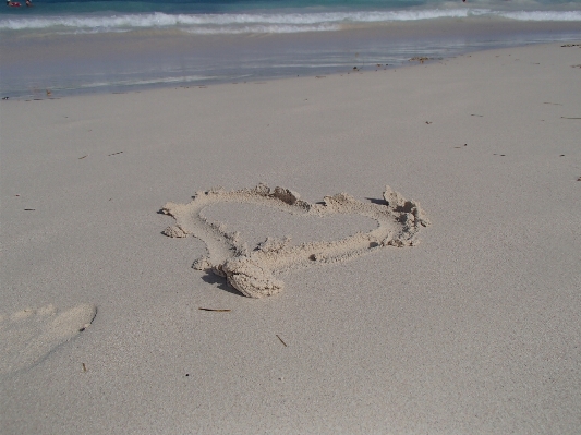 Beach sea coast sand Photo