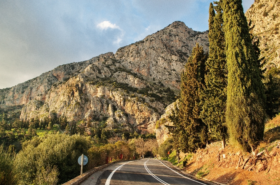 Paisaje árbol naturaleza bosque