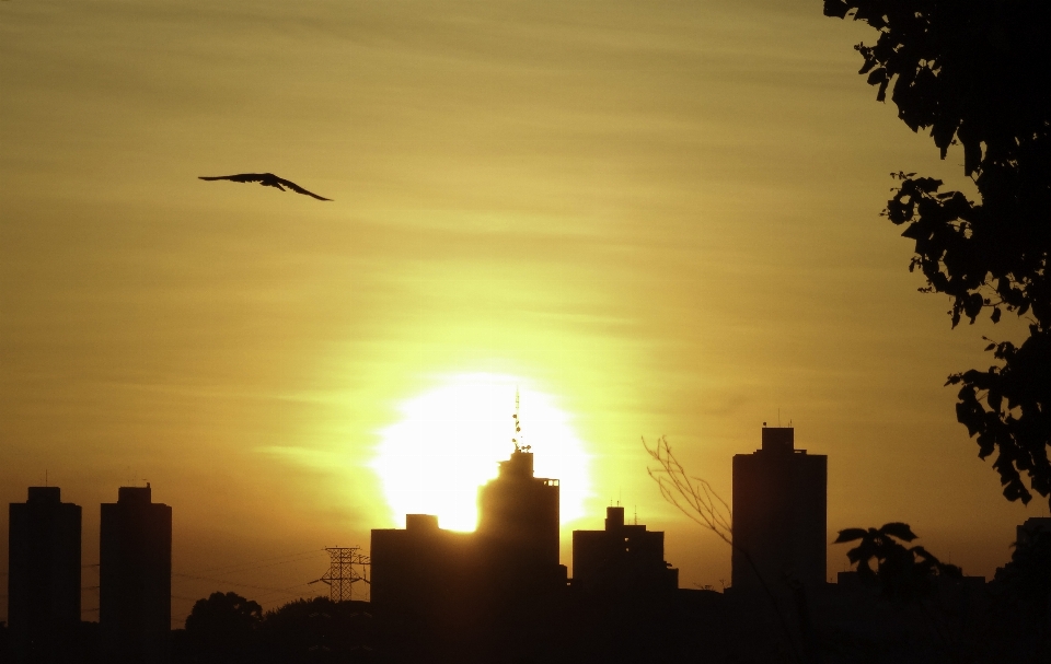 Landscape nature horizon silhouette