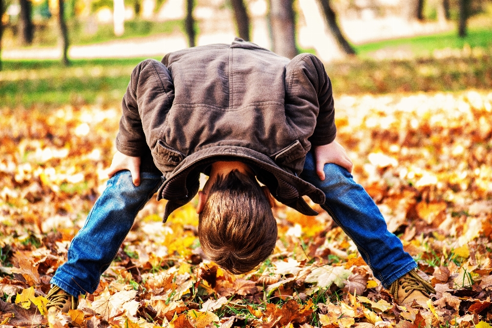 People leaf spring autumn