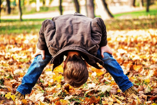 People leaf spring autumn Photo