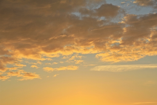 Nature horizon light cloud Photo