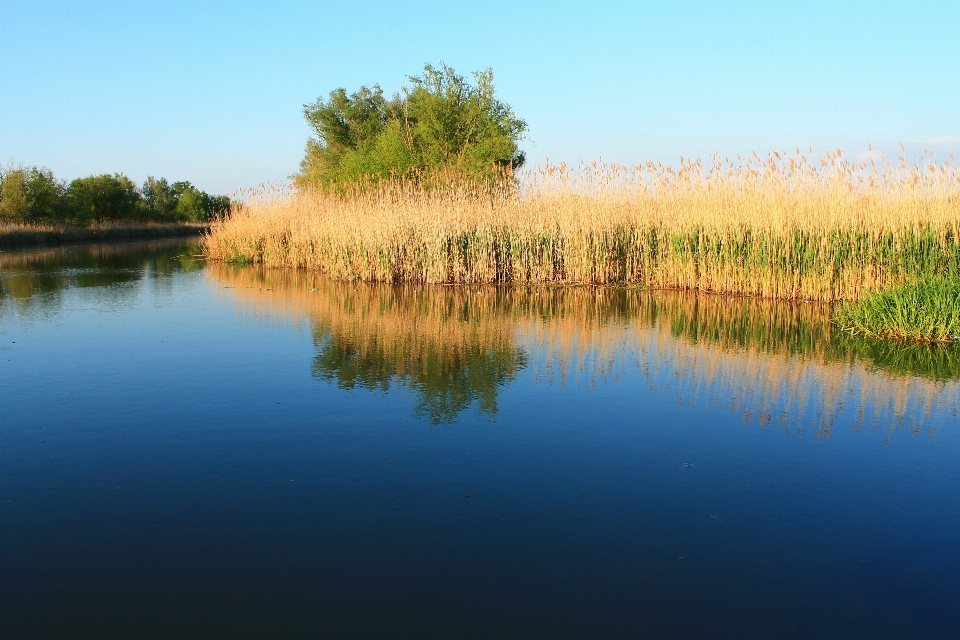 Krajobraz drzewo woda natura