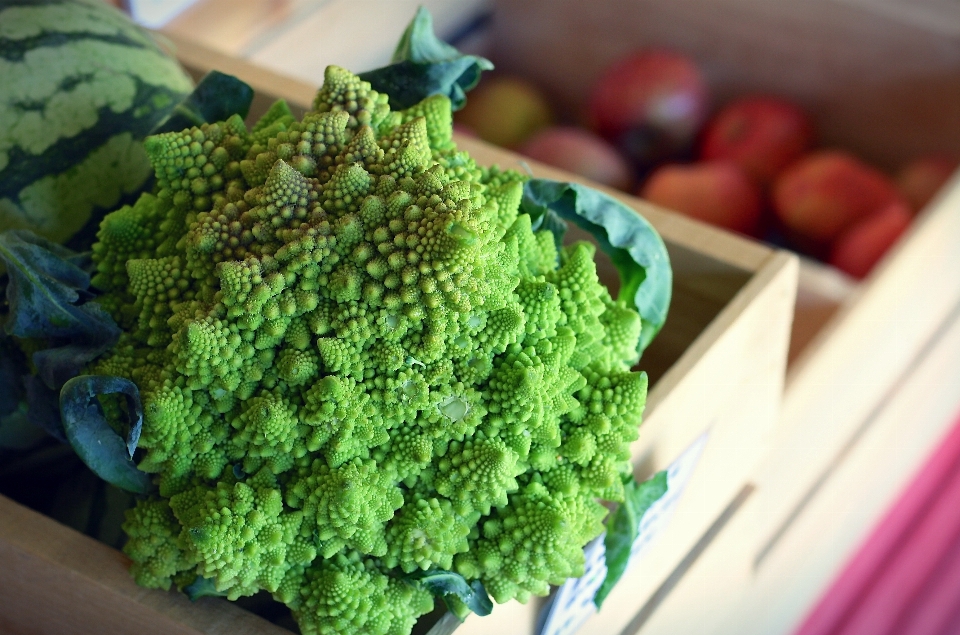 植物 花 夏 食べ物