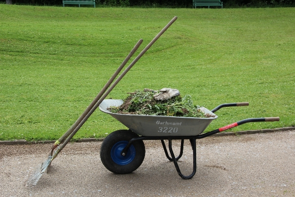 Work grass lawn cart Photo